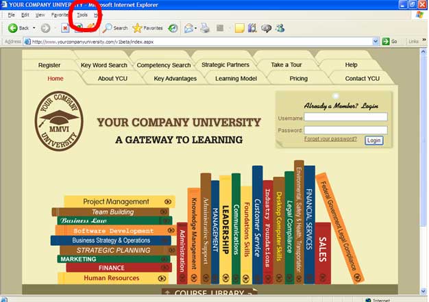online learning  tools